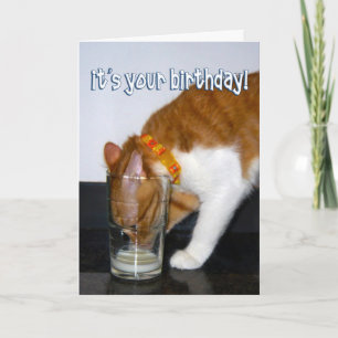 Lusande Cat-drickande från glas - Grattis på födel Kort