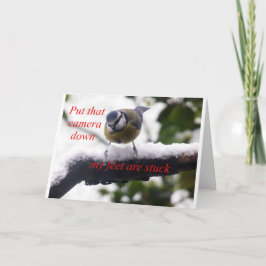 Lusande fågel i snö kort