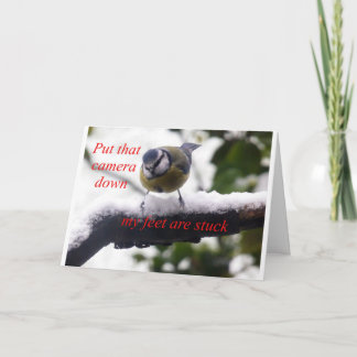 Lusande fågel i snö kort