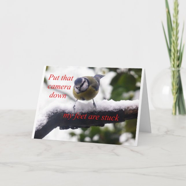 Lusande fågel i snö kort (Framsida)