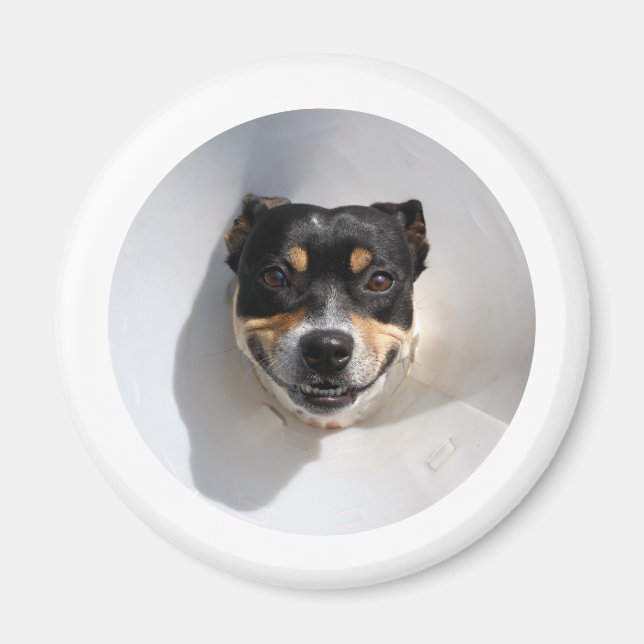 Lusande hund magnet (Framsidan)