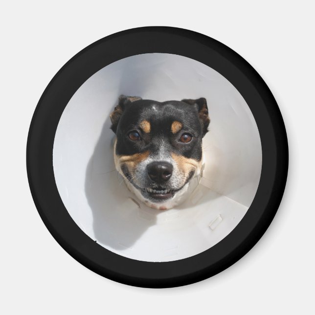 Lusande hund magnet (Framsidan)