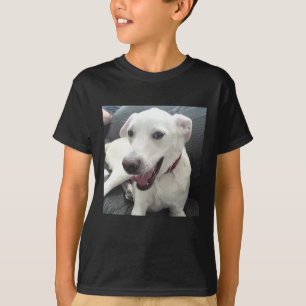 Lusande Hund Photo Wearing Red Collar Helgdag T Shirt