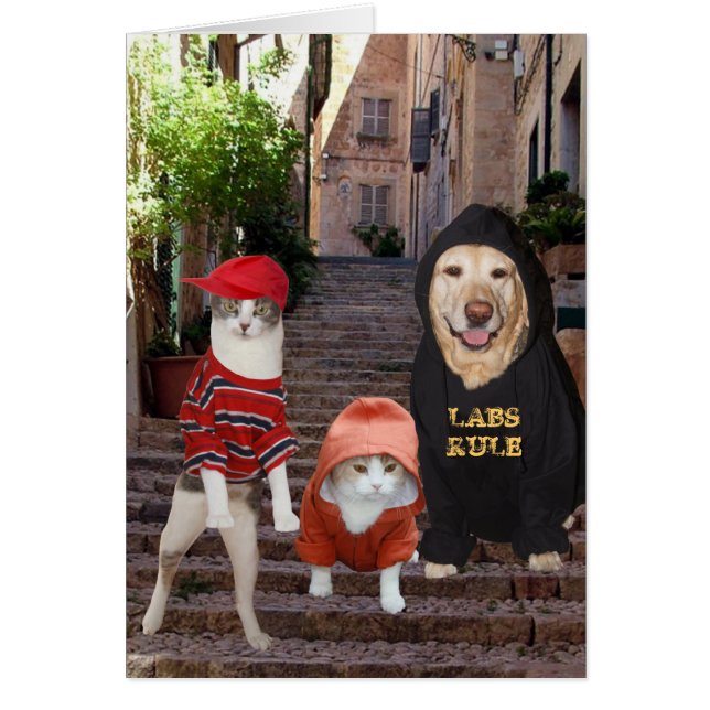 Lusande husdjur Whazup i huvan? Hälsningskort (Framsidan)