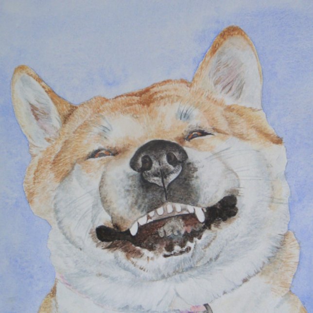 Lusande japanakita söt leende hund kärlek hälsningskort (Skapare uppladdad)