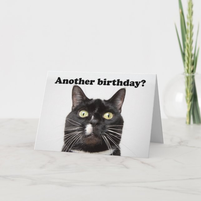 Lusande katt grattis på födelsedagen i Humor i Ans Helgkort (Framsida)