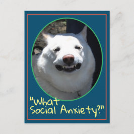 Lusande leende Hund Shiba Inu What Social Anxiety Vykort