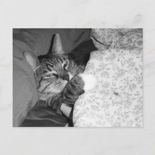 Lusande ryggsäck i Bed Postcard Vykort (Framsida)