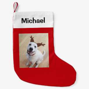 Lusande vit renare Hund Foto Red Liten Julstrumpa