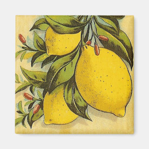 Luscious citroner magnet