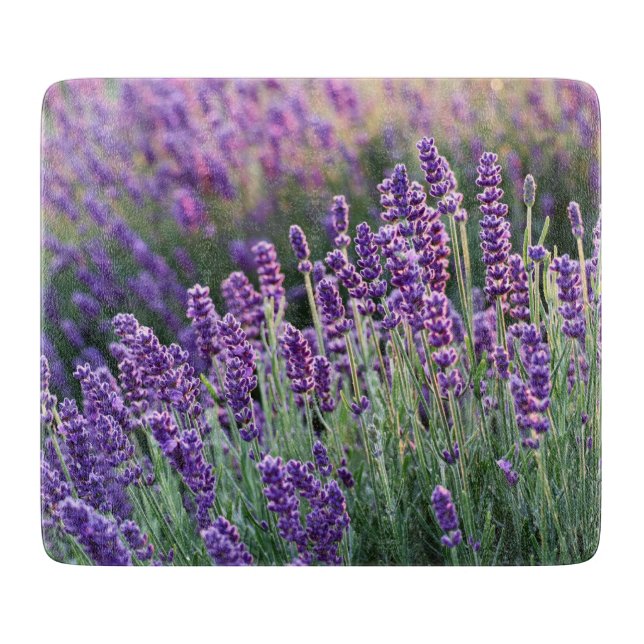 Luscious Lavender (Framsidan)
