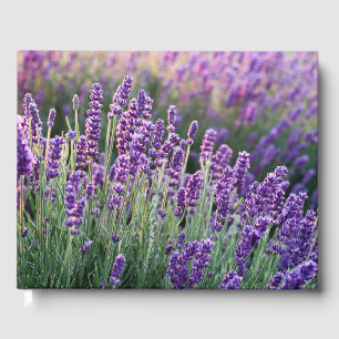 Luscious Lavender Gästböcker