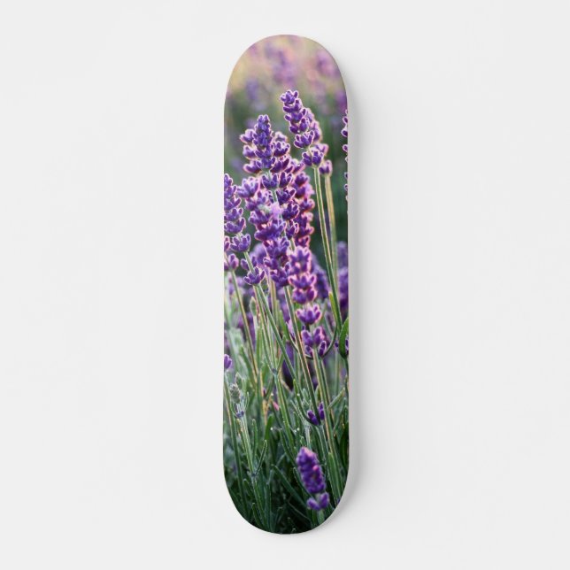 Luscious Lavender  Mini Skateboard Bräda 18,5 Cm (Framsida)