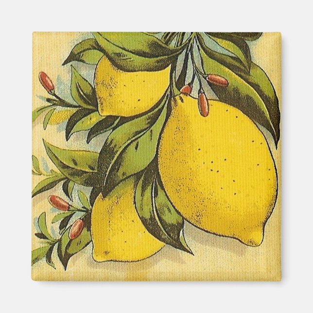Luscious Lemons Magnet (Framsidan)