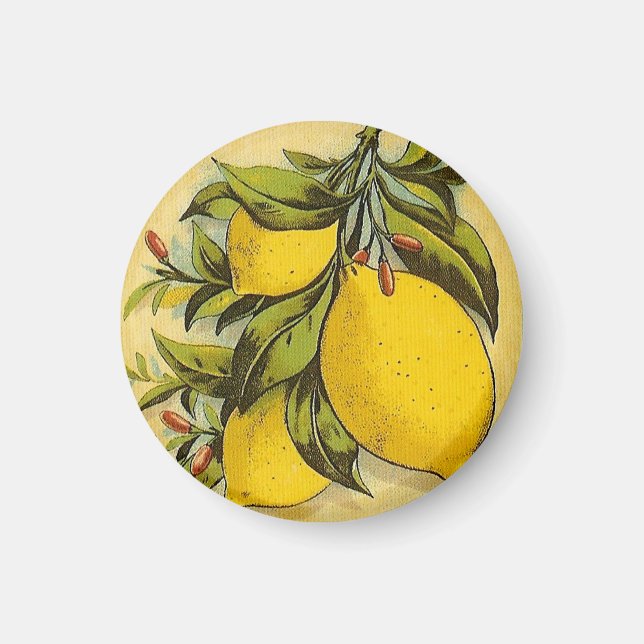 Luscious Lemons Magnet (Framsidan)