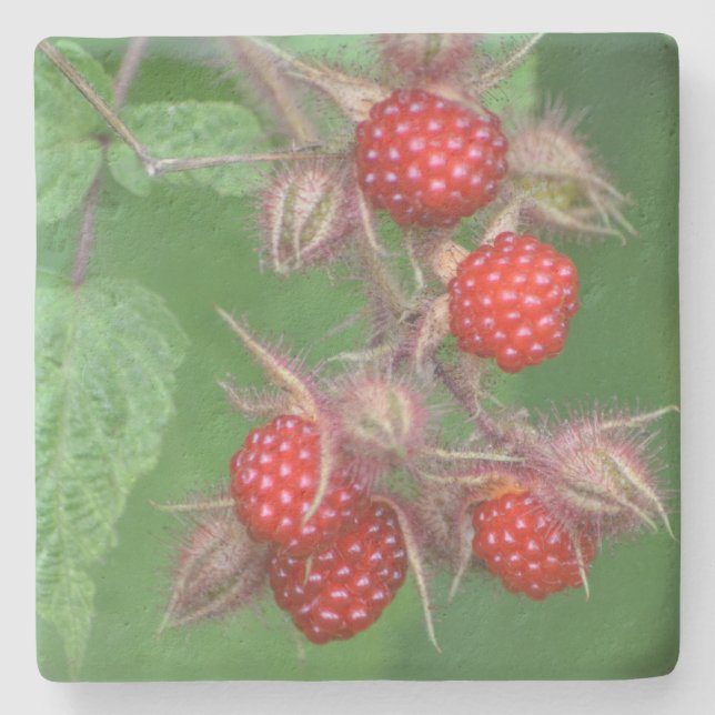 Luscious Ripe Raspberry Stenunderlägg (Framsidan)