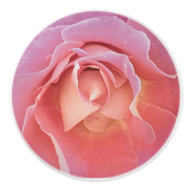 Luscious Rosa ros Knopp (Framsidan)