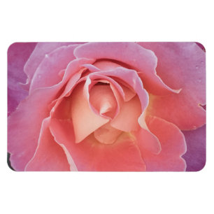 Luscious Rosa ros Magnet
