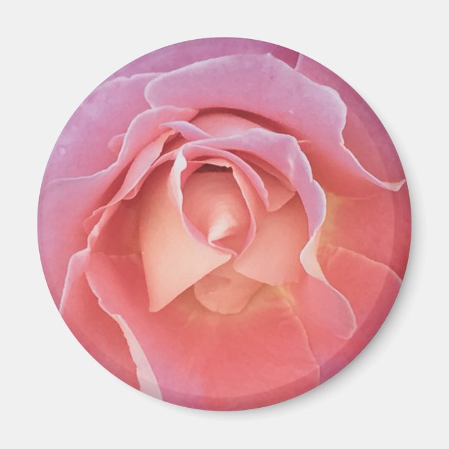 Luscious Rosa ros Magnet (Framsidan)