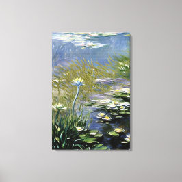 Lush Agapanthus Flowers vid Giverny Canvastryck