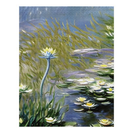 Lush Agapanthus Flowers vid Giverny Fototryck