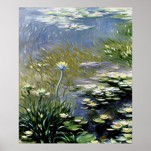Lush Agapanthus Flowers vid Giverny Poster (Framsidan)