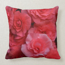 Lush Dubbla Rosa Begonia Kudde