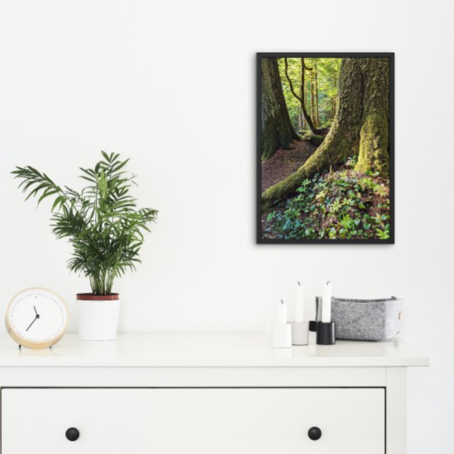 Lush Evergreen Forest Natature Fototryck (In Situ Framed)