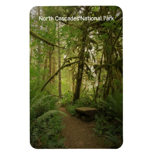 Lush Forest Trail i North Cascades nationalpark Magnet (Vertikal)