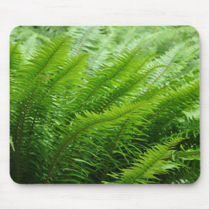 Lush grönt Ferns Musmatta