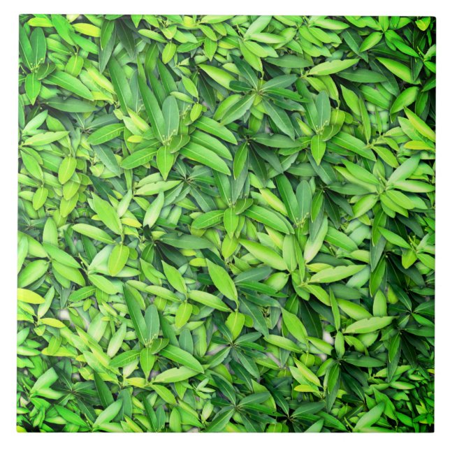Lush Grönt Lövs Mönster - Natur botaniskt Kakelplatta (Framsidan)