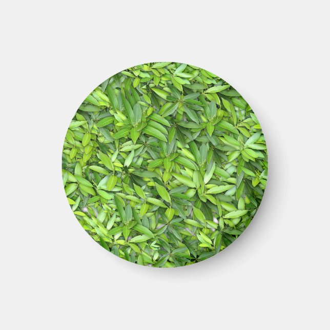 Lush Grönt Lövs Mönster - Natur botaniskt Magnet (Framsidan)