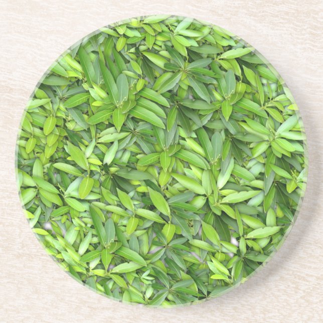 Lush Grönt Lövs Mönster - Natur botaniskt Underlägg (Framsidan)