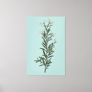 Lush Grönt Rosemary Sprig Painting Canvastryck