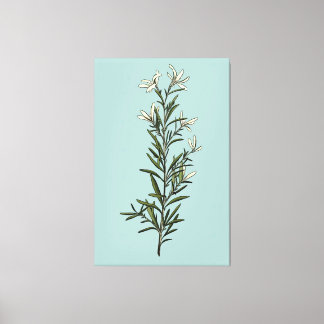 Lush Grönt Rosemary Sprig Painting Canvastryck