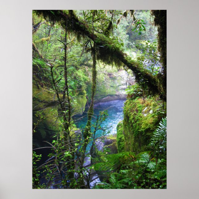 Lush Jungle River Poster (Framsidan)
