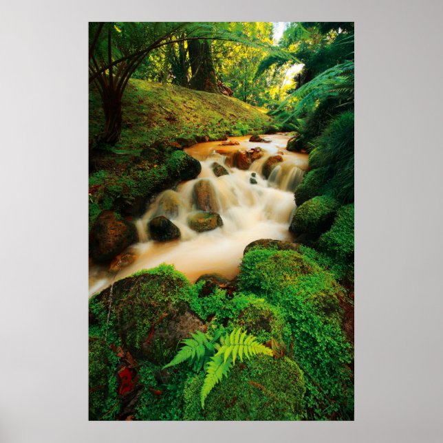 Lush Natural Färg Poster (Framsidan)