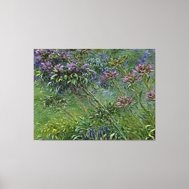 Lush och brant avbildning av Agapanthus Flowers Canvastryck (Framsida)