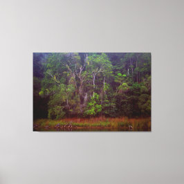 LUSH RAINFOREST 32 x 48 Canvastryck