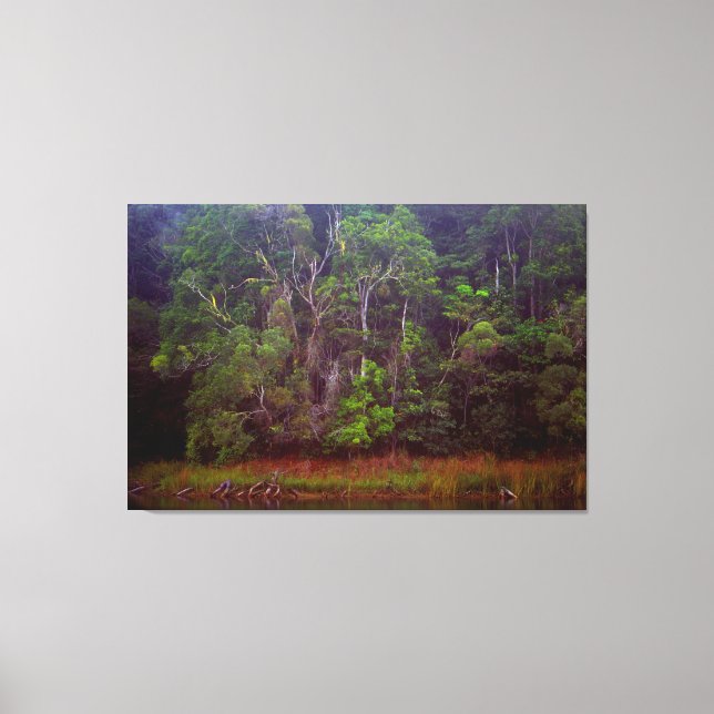 LUSH RAINFOREST 32 x 48 Canvastryck (Framsida)