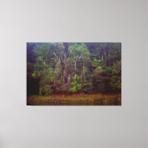 LUSH RAINFOREST 40 x 60