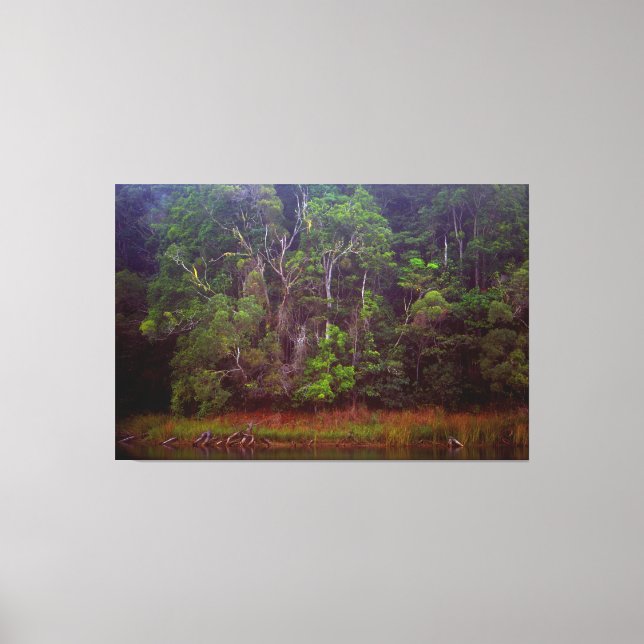 LUSH RAINFOREST 40 x 60 Canvastryck (Framsida)