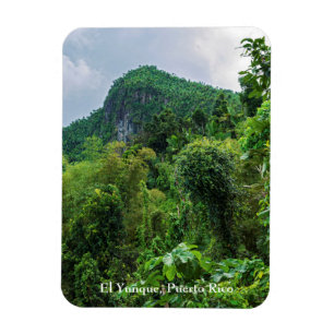 Lush-regnskog och el yunque toppar magnet