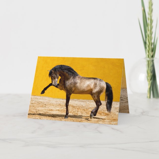 Lusitano Stallion Horse Greeting Card Kort (Framsida)