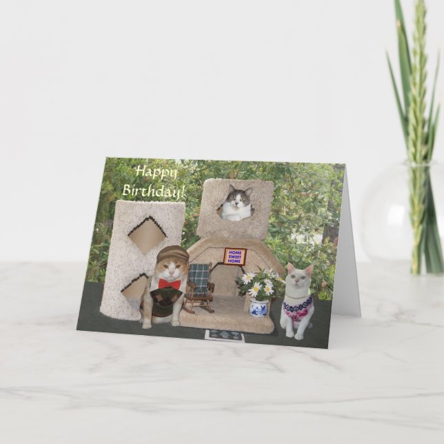 Lusnyare katter/Kattunge Grattis på födelsedagen f Kort (Framsida)
