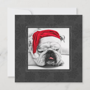 Lusnybulldog i en jultomt med Grått Snöflingor Julkort