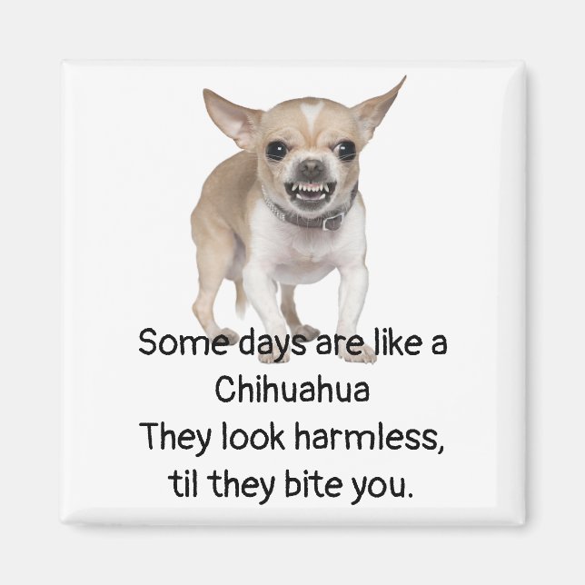 Lusnycitat om Life med Chihuahua Hund Magnet (Framsidan)