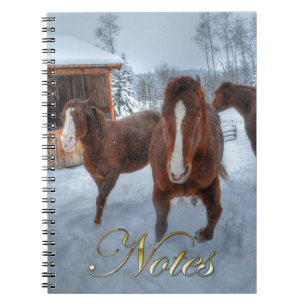 Lusnyj Amous Stallion och motvilliga hartser Anteckningsbok