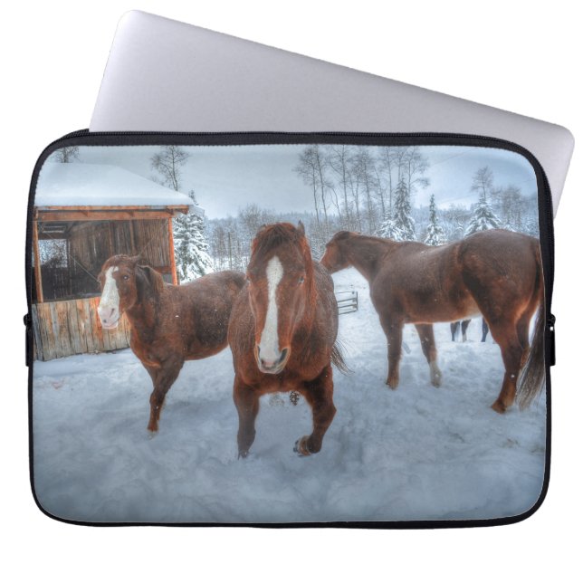 Lusnyj Amous Stallion och motvilliga hartser Laptop Sleeve (Framsidan)