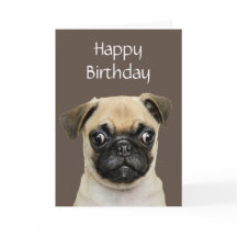 Lusnyj, Birthday Lycklig Pug Dog Humor